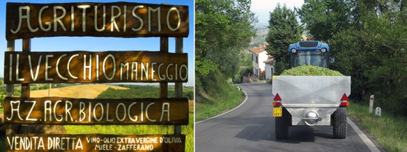Agriturismo signage and grape truck