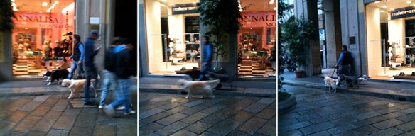 Dog walker with 4 dogs in sequence