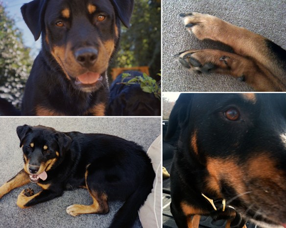 George in four photos