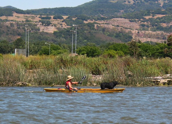 Man with Lab in Canoe