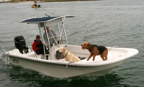 Boat with barking dog