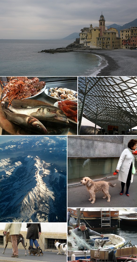 More images of trips to Italy