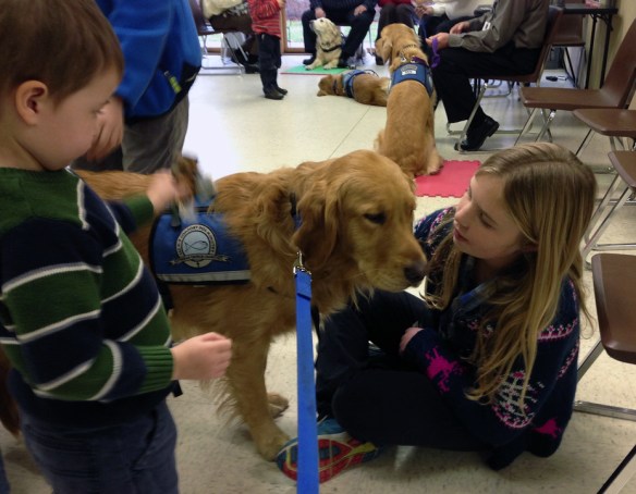 K-9 Comforts Dogs with Kids in Newtown