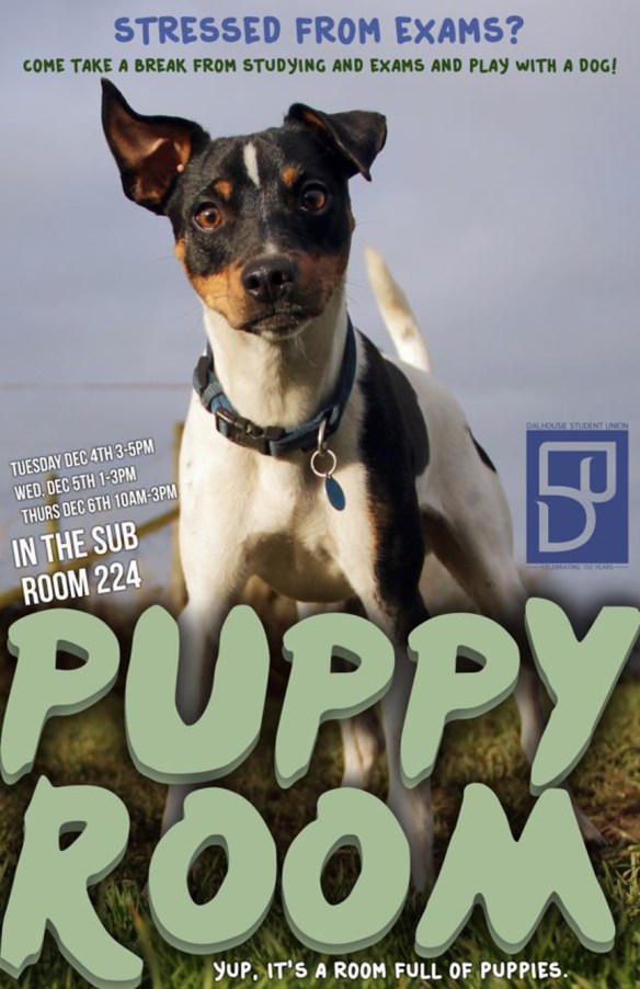 Visit the Puppy Room poster