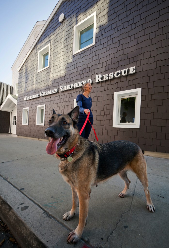 Westside German Shepherd Rescue, Los Angeles