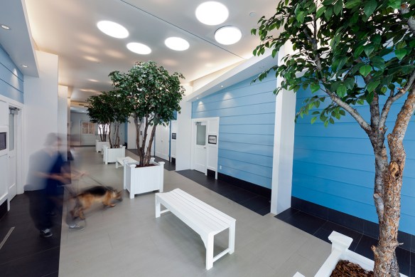 Westside German Shepherd Rescue boardwalk