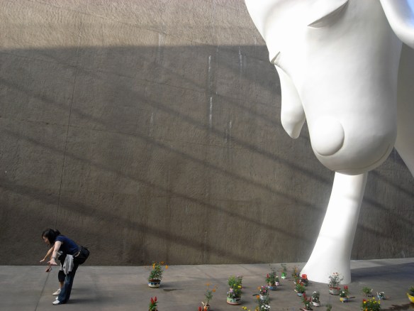 Yoshitomo Nara at Aomori Museum of Art