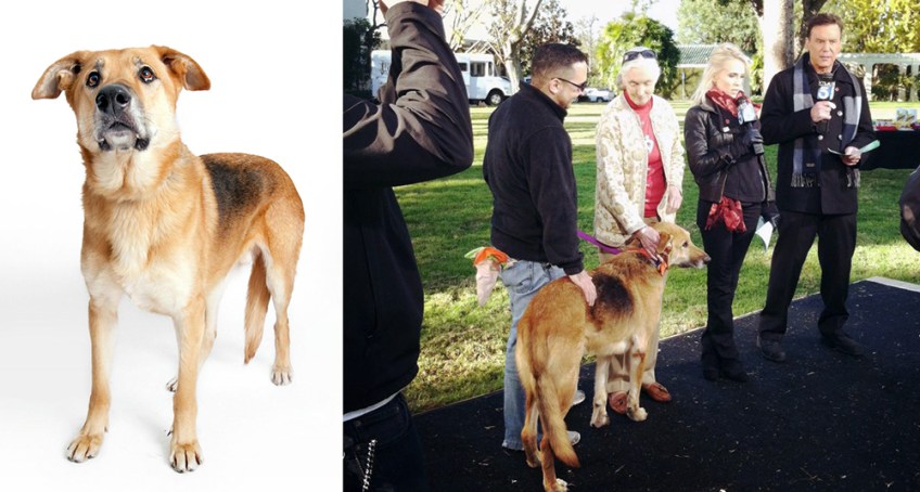 Chuck with BFLA's Marc Peralta and Jane Goodall