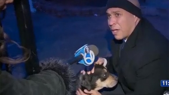 Mayor Cory Booker saves freezing dog