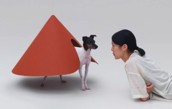 Hara Design Institute