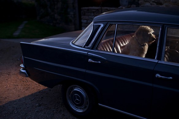 Ruby by Martin Usborne