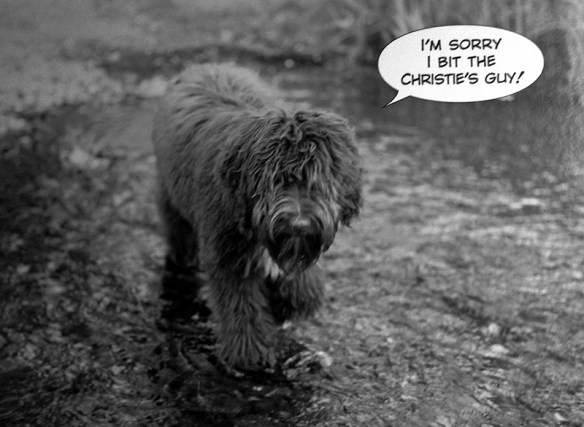 Sorry I Bit the Christie's Guy photo by Edward Tufte