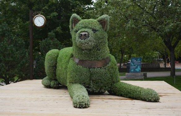 Hachiko in Montreal