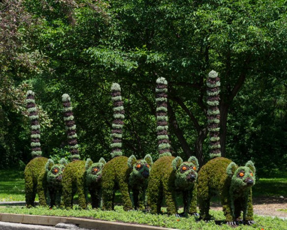 Madagascar at the Montreal Botanical Gardens