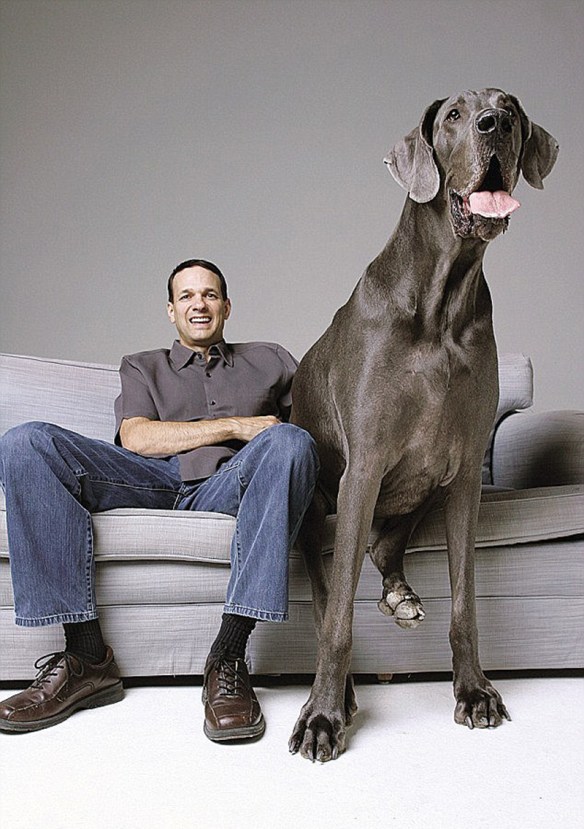 George and Dave Nasser, owner