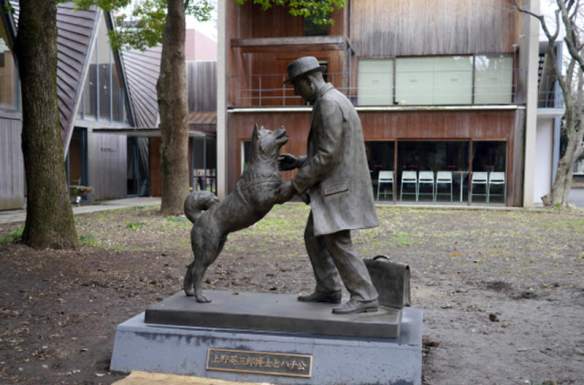 Hachiko and Professor Ueno statue in Japan